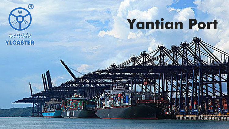 The knock-on effect of the outbreak of Yantian Port on global logistics