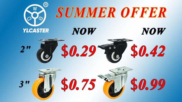 Special offer of this summer